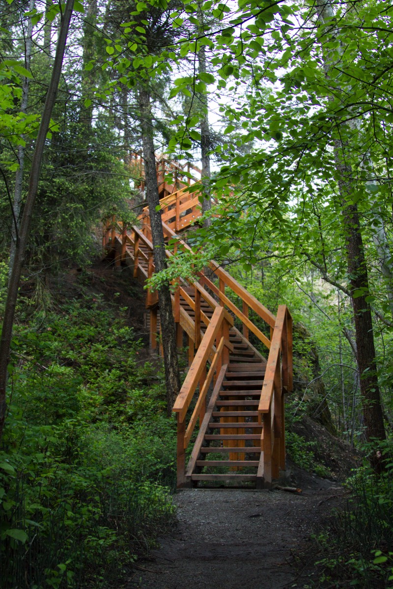 Stacks Image 1029447