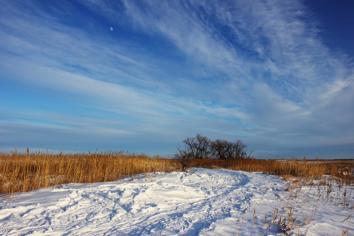 Stacks Image 841076