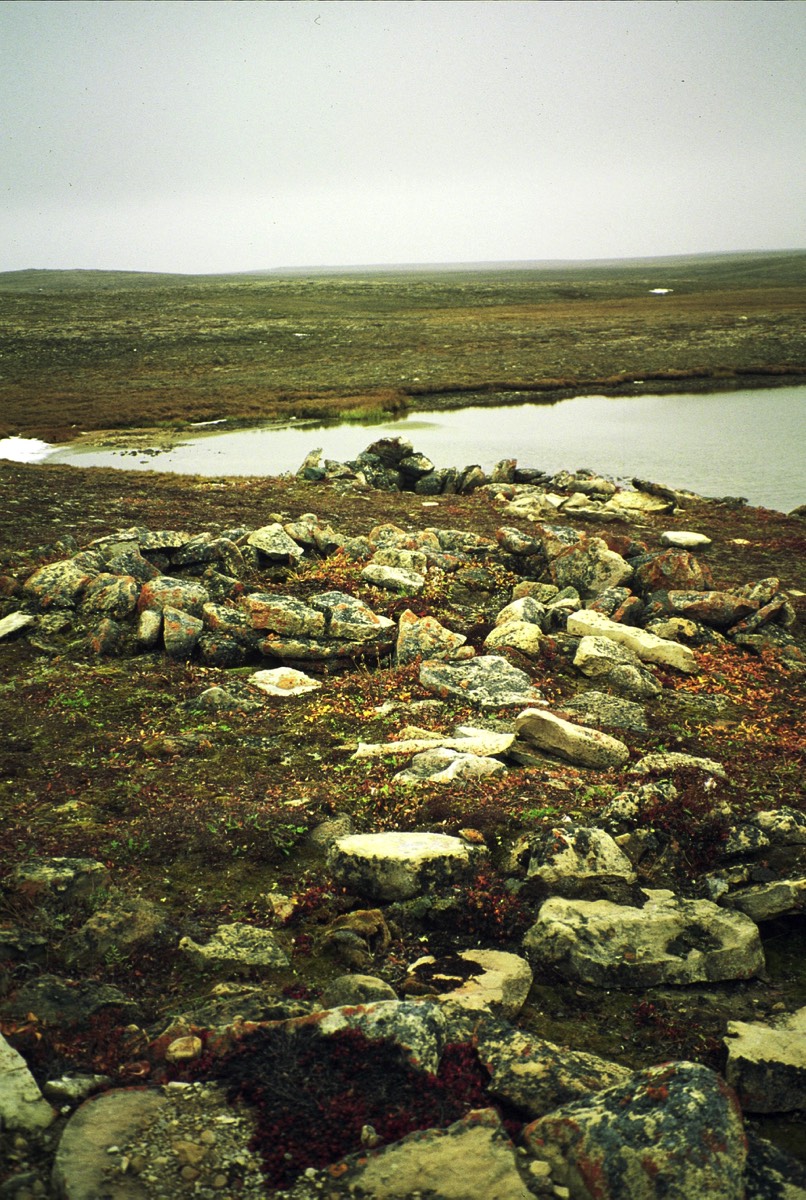Stacks Image 834679